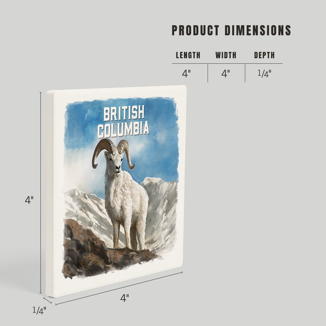 British Columbia, Watercolor Study, Dall Sheep, Coasters Coasters Lantern Press 
