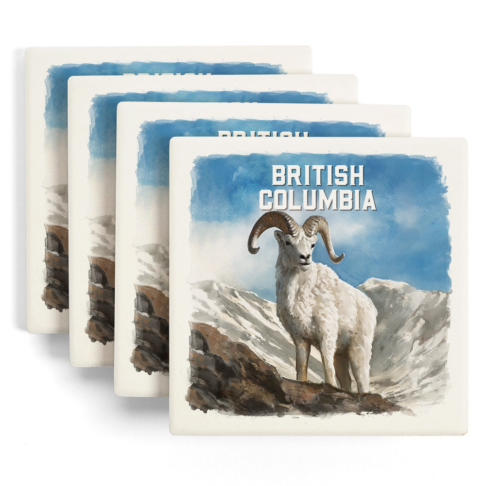 British Columbia, Watercolor Study, Dall Sheep, Coasters Coasters Lantern Press 