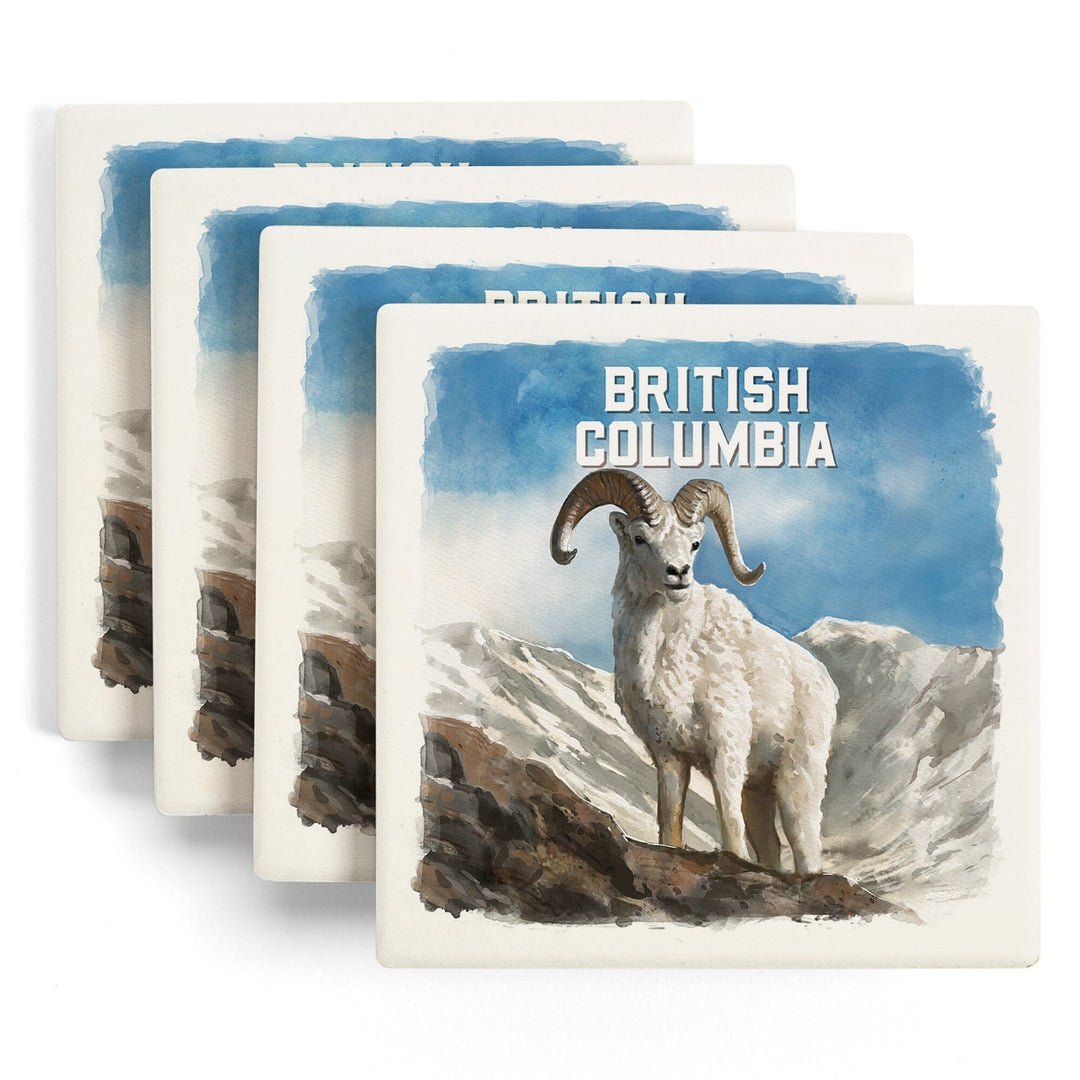 British Columbia, Watercolor Study, Dall Sheep, Coasters Coasters Lantern Press 