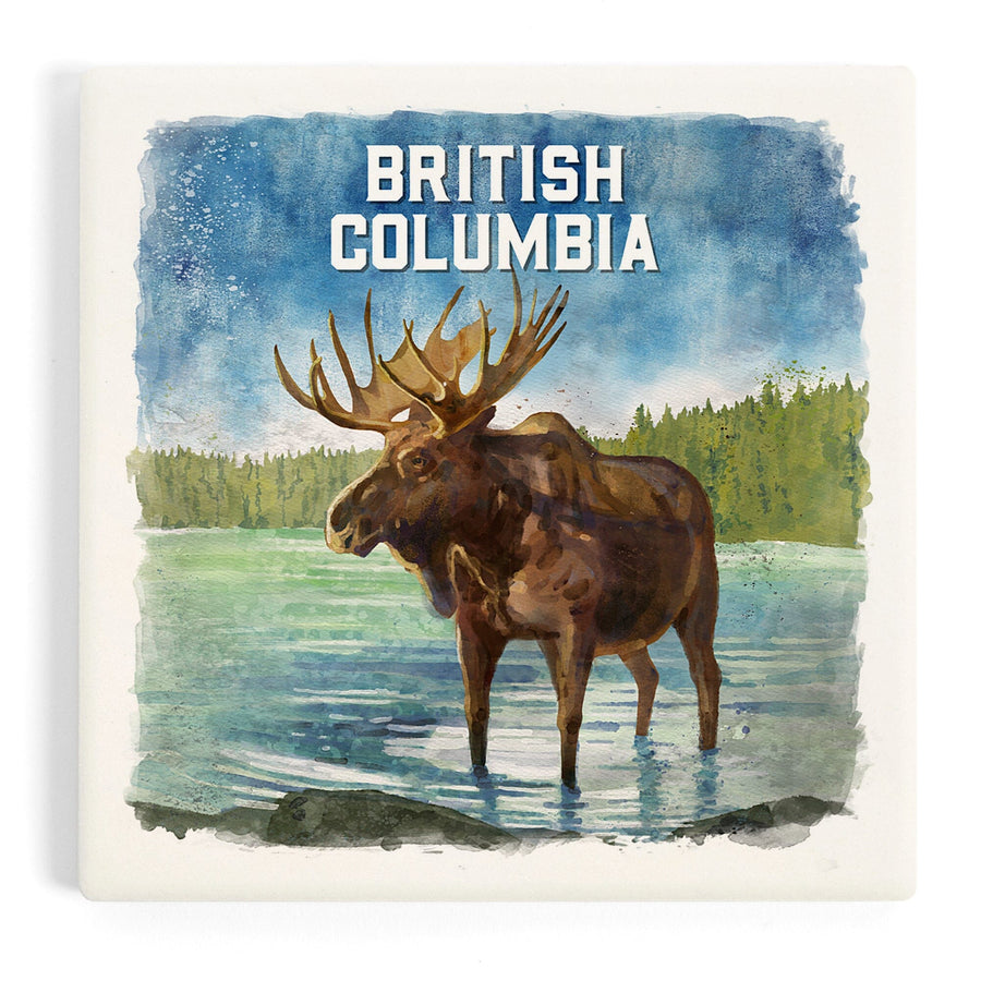British Columbia, Watercolor Study, Moose, Coasters Coasters Lantern Press 