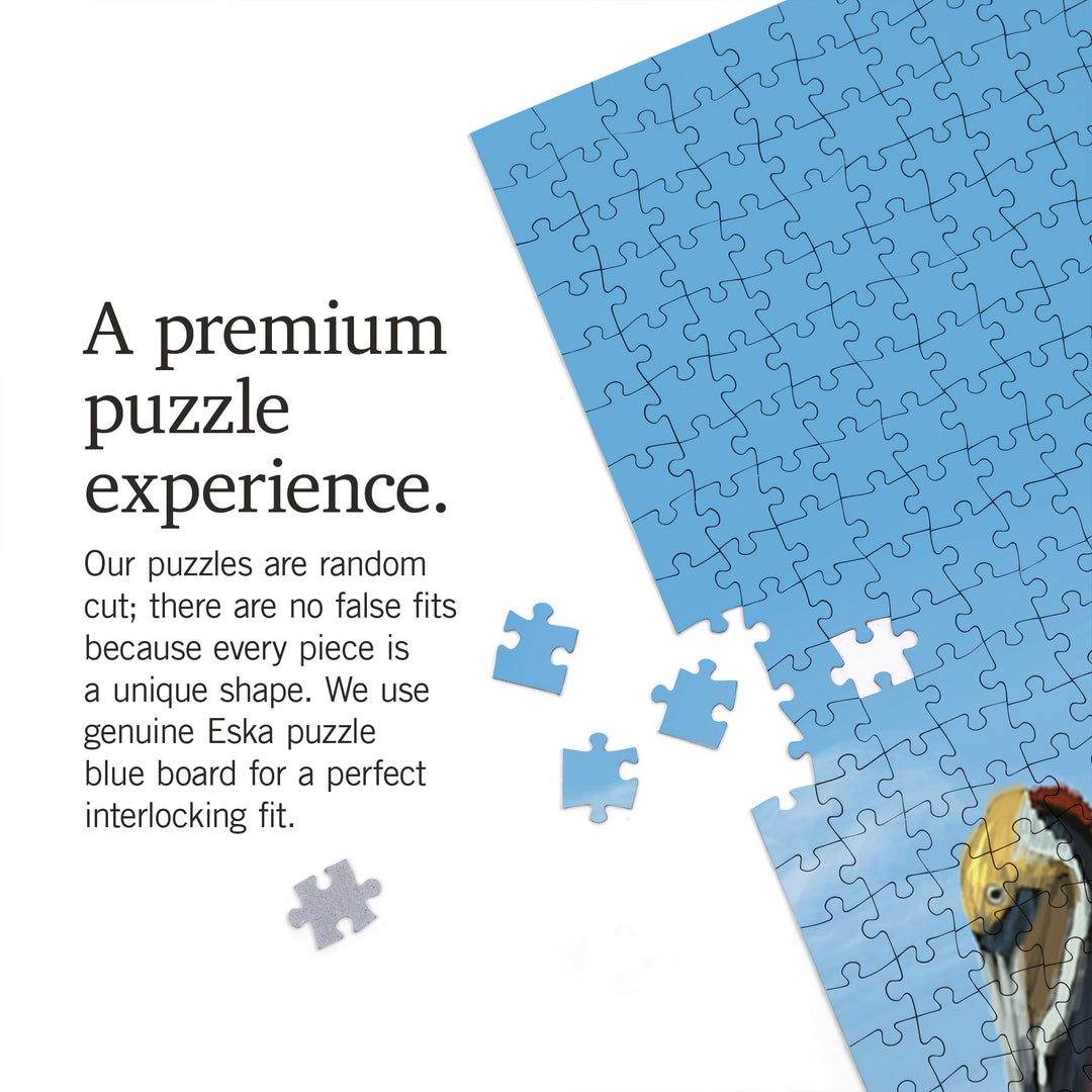 Brown Pelican, Jigsaw Puzzle Puzzle Lantern Press 