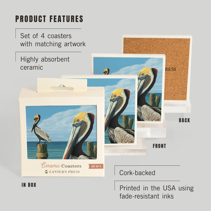 Brown Pelican, Lantern Press Artwork, Coaster Set - Lantern Press