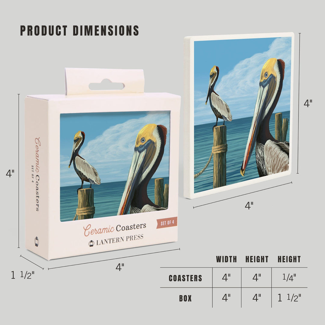 Brown Pelican, Lantern Press Artwork, Coaster Set - Lantern Press