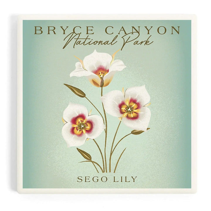 Bryce Canyon National Park, Vintage Flora Series, Sego Lily, Coasters Coasters Lantern Press Coaster 