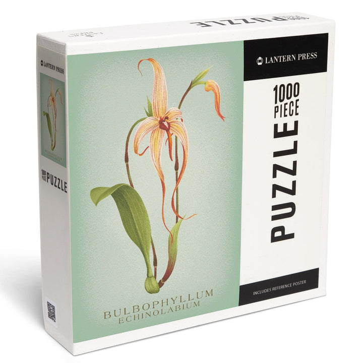 Bulbophyllum, Orchid, Vintage Flora, Jigsaw Puzzle Puzzle Lantern Press 