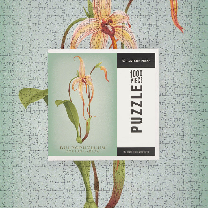 Bulbophyllum, Orchid, Vintage Flora, Jigsaw Puzzle Puzzle Lantern Press 
