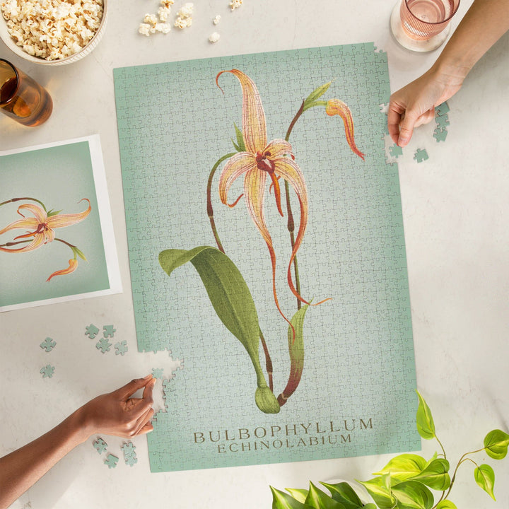 Bulbophyllum, Orchid, Vintage Flora, Jigsaw Puzzle Puzzle Lantern Press 