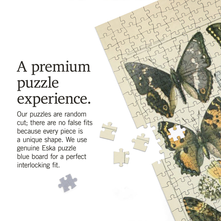 Butterflies, A, Vintage Bookplate, Adolphe Millot Artwork, Jigsaw Puzzle Puzzle Lantern Press 