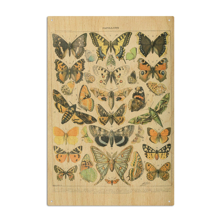 Butterflies, A, Vintage Bookplate, Adolphe Millot Artwork, Wood Signs and Postcards Wood Lantern Press 10 x 15 Wood Sign 