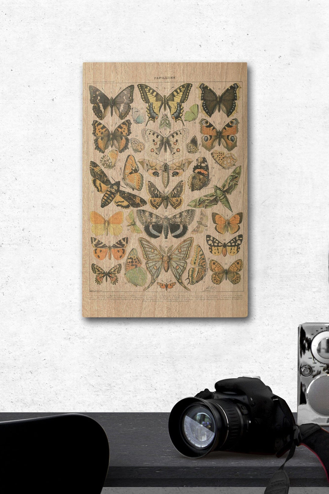 Butterflies, A, Vintage Bookplate, Adolphe Millot Artwork, Wood Signs and Postcards Wood Lantern Press 12 x 18 Wood Gallery Print 