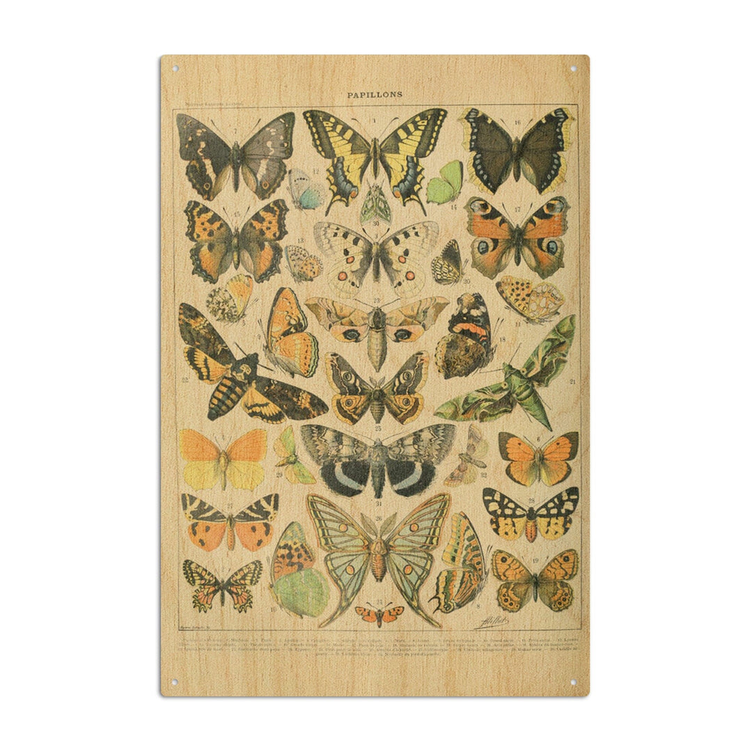 Butterflies, A, Vintage Bookplate, Adolphe Millot Artwork, Wood Signs and Postcards Wood Lantern Press 6x9 Wood Sign 