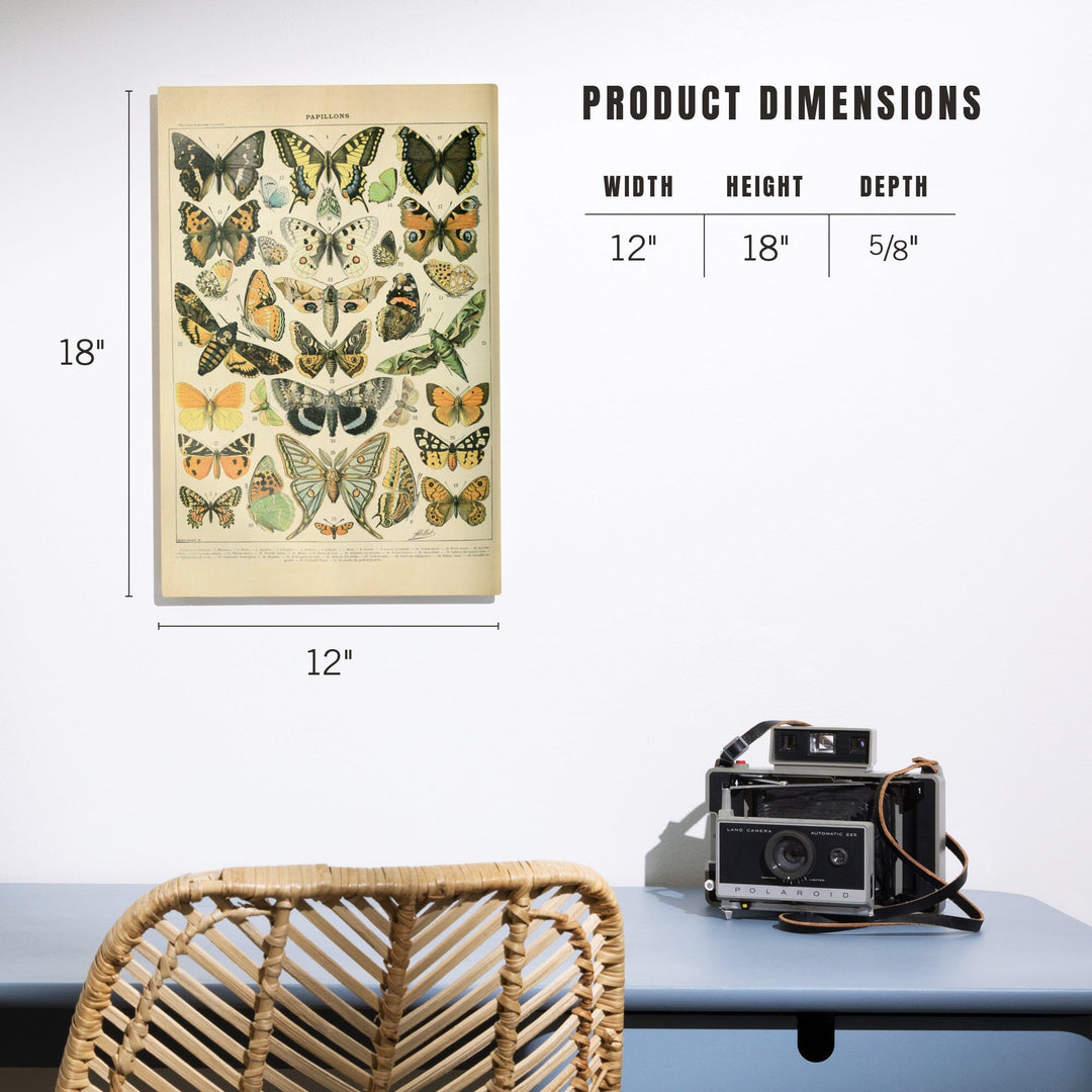 Butterflies, A, Vintage Bookplate, Adolphe Millot Artwork, Wood Signs and Postcards Wood Lantern Press 