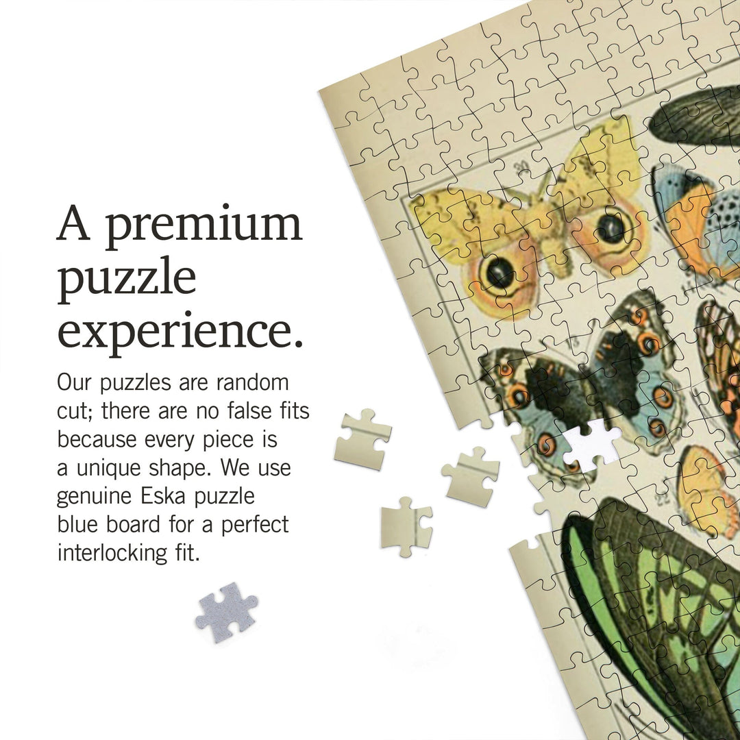 Butterflies, B, Vintage Bookplate, Adolphe Millot Artwork, Jigsaw Puzzle Puzzle Lantern Press 