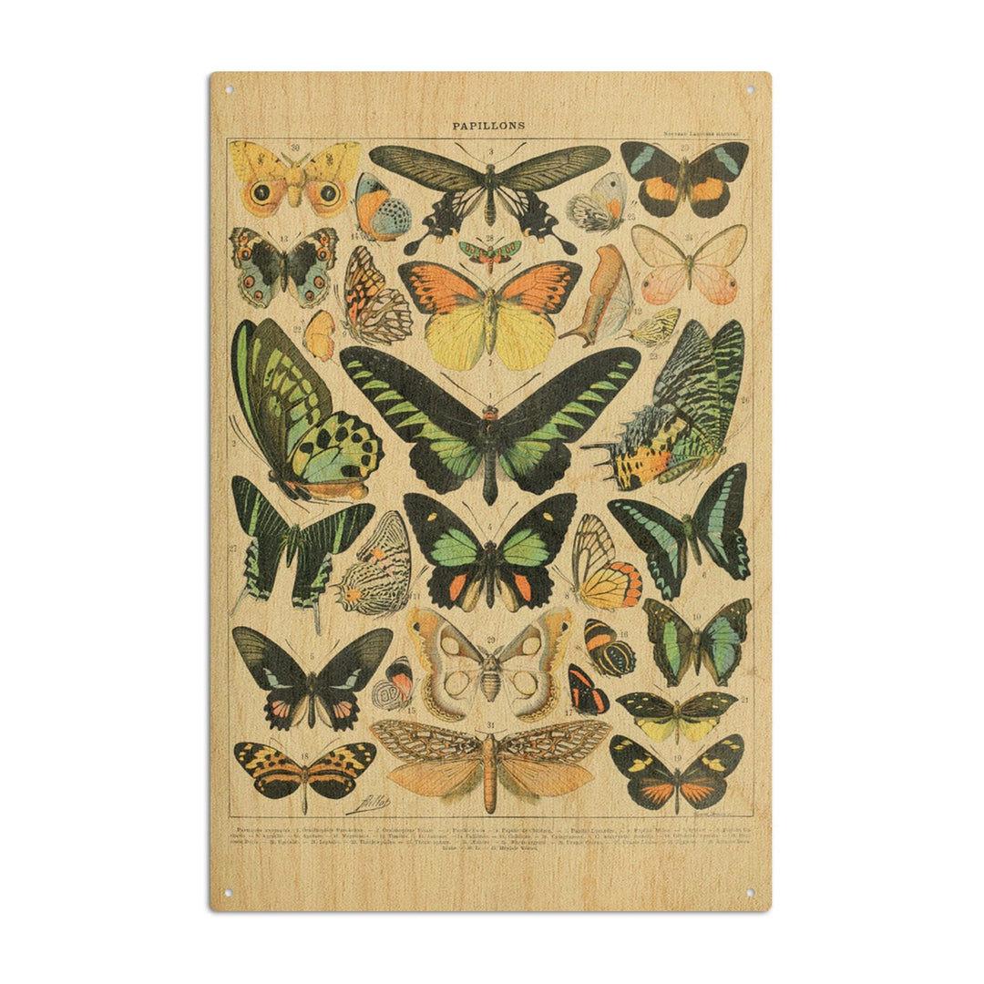 Butterflies, B, Vintage Bookplate, Adolphe Millot Artwork, Wood Signs and Postcards Wood Lantern Press 10 x 15 Wood Sign 