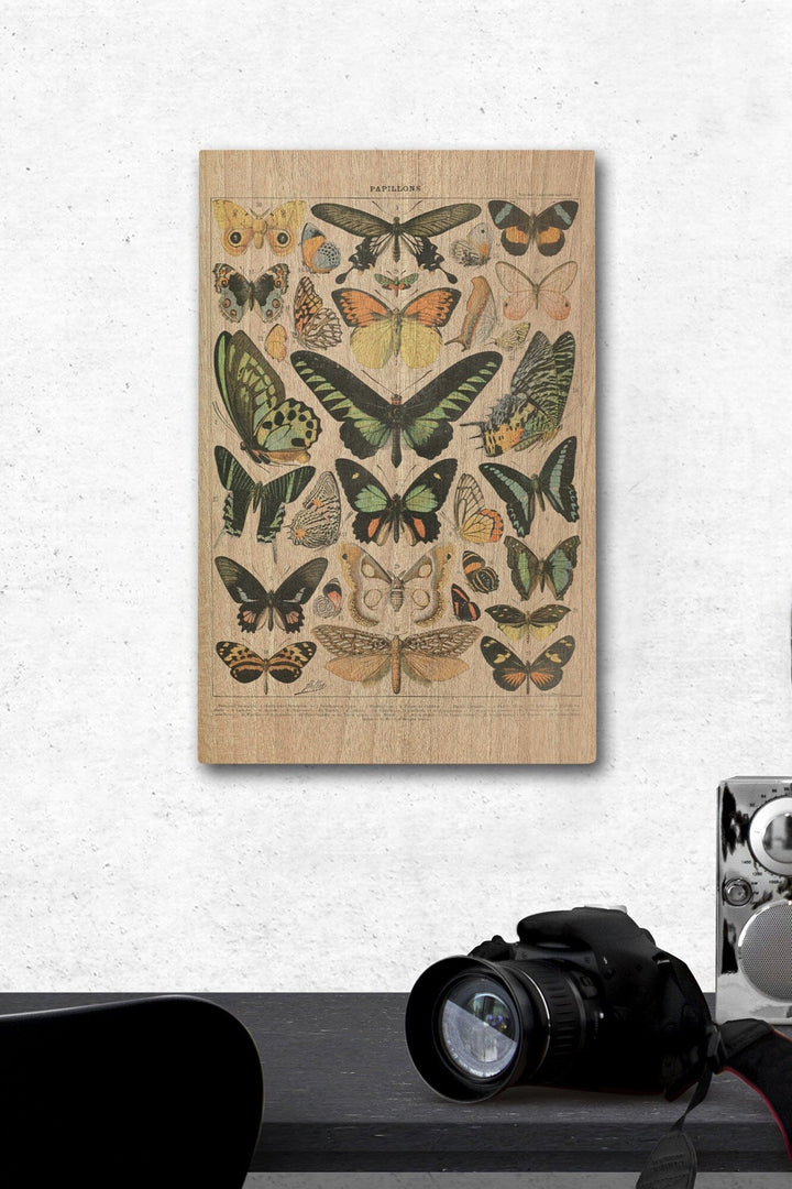 Butterflies, B, Vintage Bookplate, Adolphe Millot Artwork, Wood Signs and Postcards Wood Lantern Press 12 x 18 Wood Gallery Print 