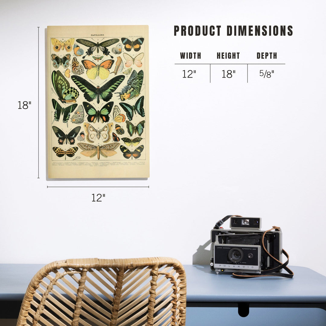 Butterflies, B, Vintage Bookplate, Adolphe Millot Artwork, Wood Signs and Postcards Wood Lantern Press 