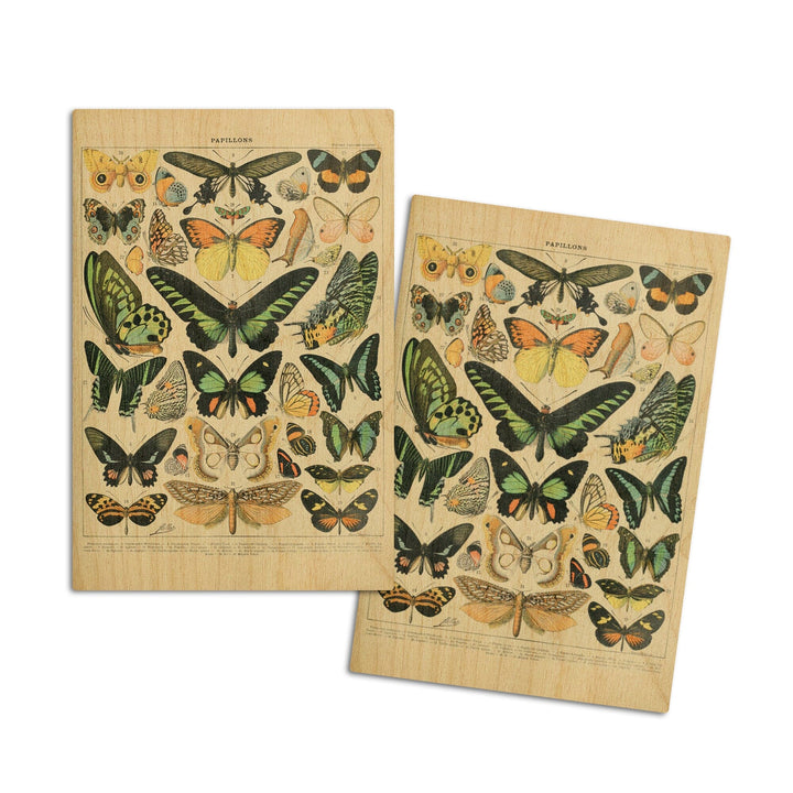 Butterflies, B, Vintage Bookplate, Adolphe Millot Artwork, Wood Signs and Postcards Wood Lantern Press 4x6 Wood Postcard Set 