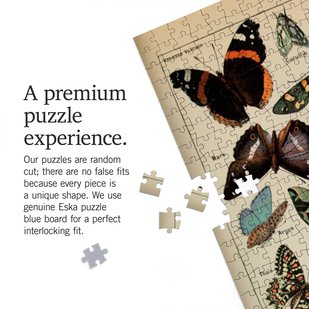 Butterflies, C, Vintage Bookplate, Adolphe Millot Artwork, Jigsaw Puzzle Puzzle Lantern Press 