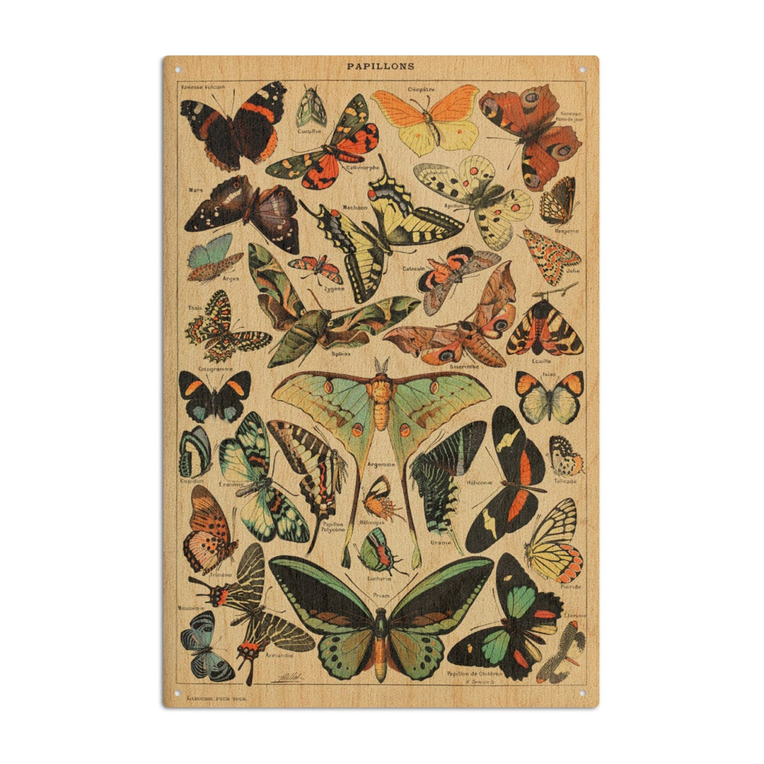 Butterflies, C, Vintage Bookplate, Adolphe Millot Artwork, Wood Signs and Postcards Wood Lantern Press 10 x 15 Wood Sign 