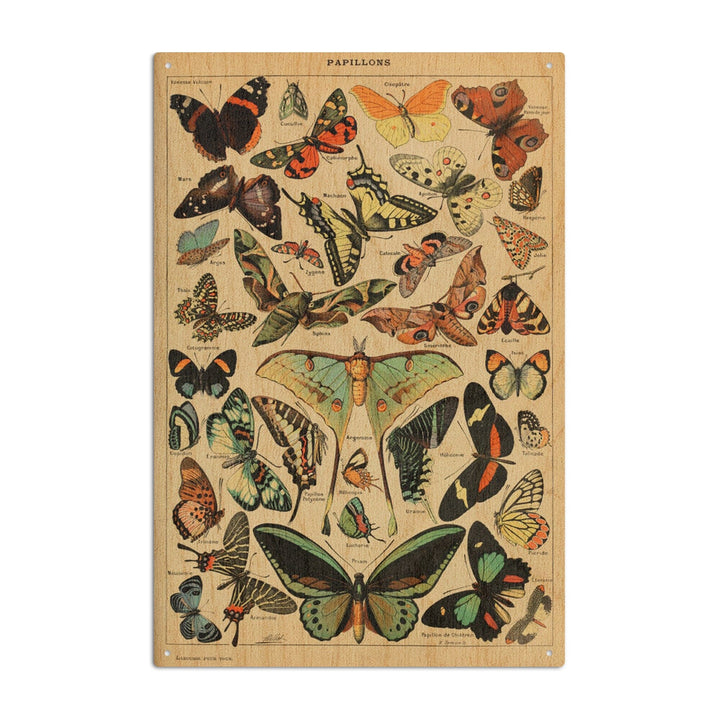 Butterflies, C, Vintage Bookplate, Adolphe Millot Artwork, Wood Signs and Postcards - Lantern Press