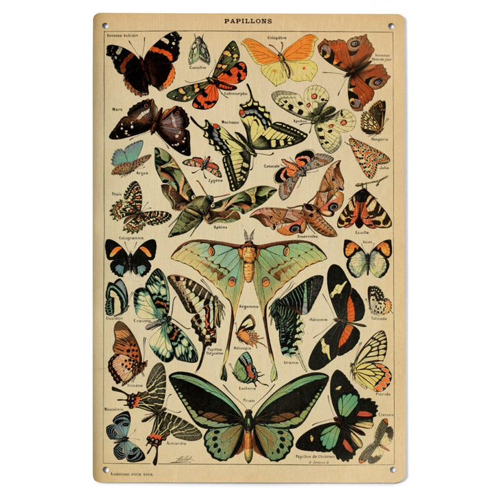 Butterflies, C, Vintage Bookplate, Adolphe Millot Artwork, Wood Signs and Postcards Wood Lantern Press 
