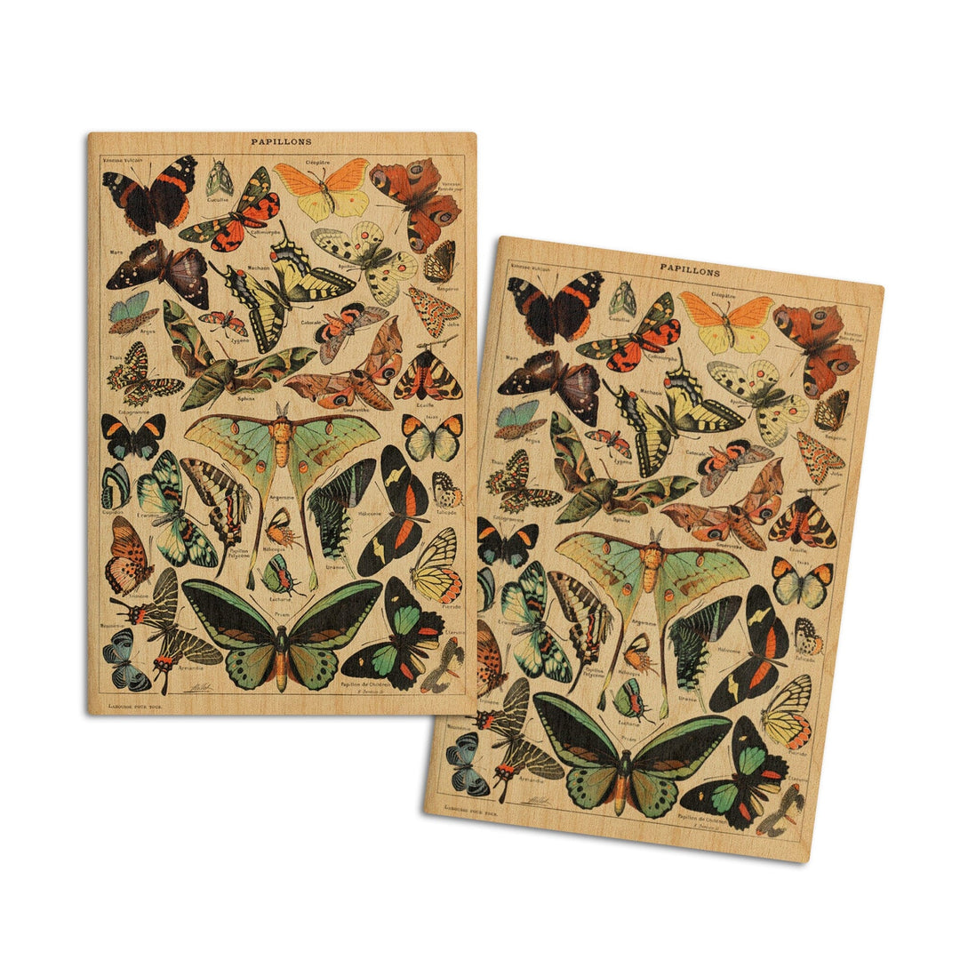 Butterflies, C, Vintage Bookplate, Adolphe Millot Artwork, Wood Signs and Postcards Wood Lantern Press 4x6 Wood Postcard Set 