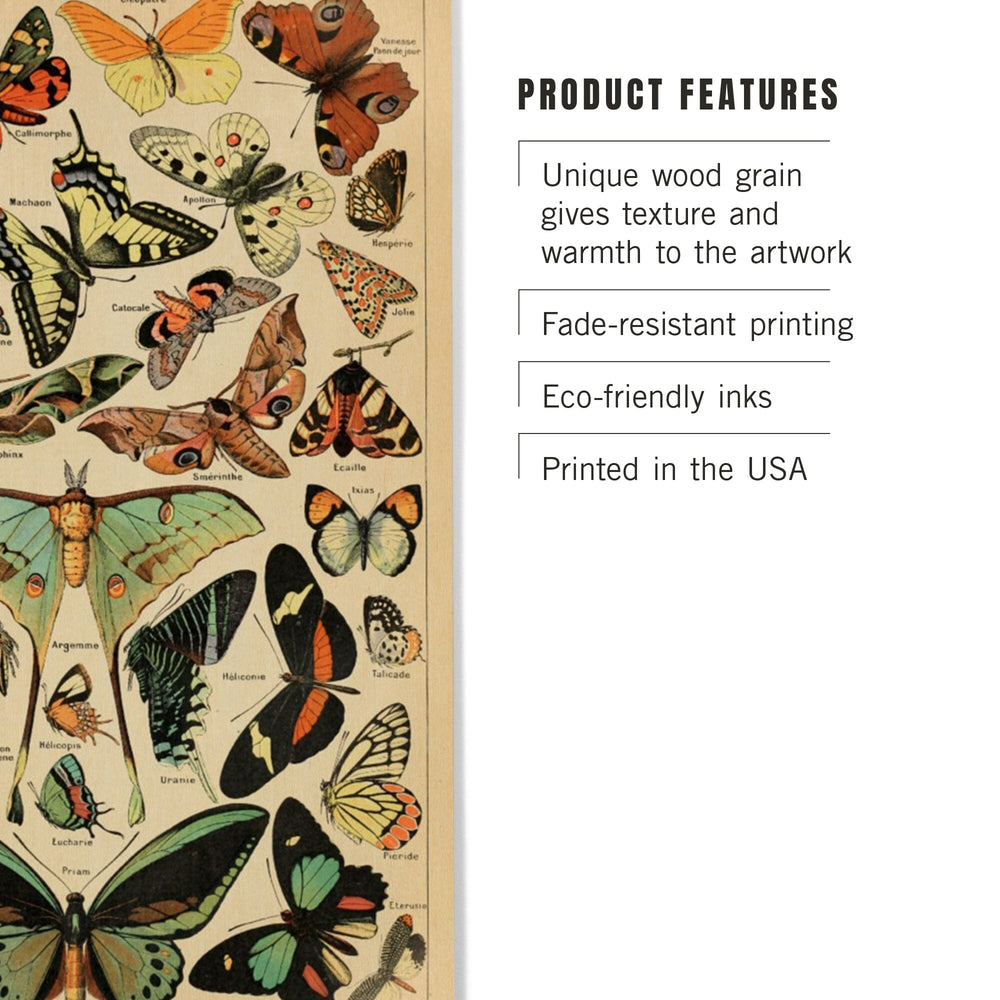 Butterflies, C, Vintage Bookplate, Adolphe Millot Artwork, Wood Signs and Postcards - Lantern Press