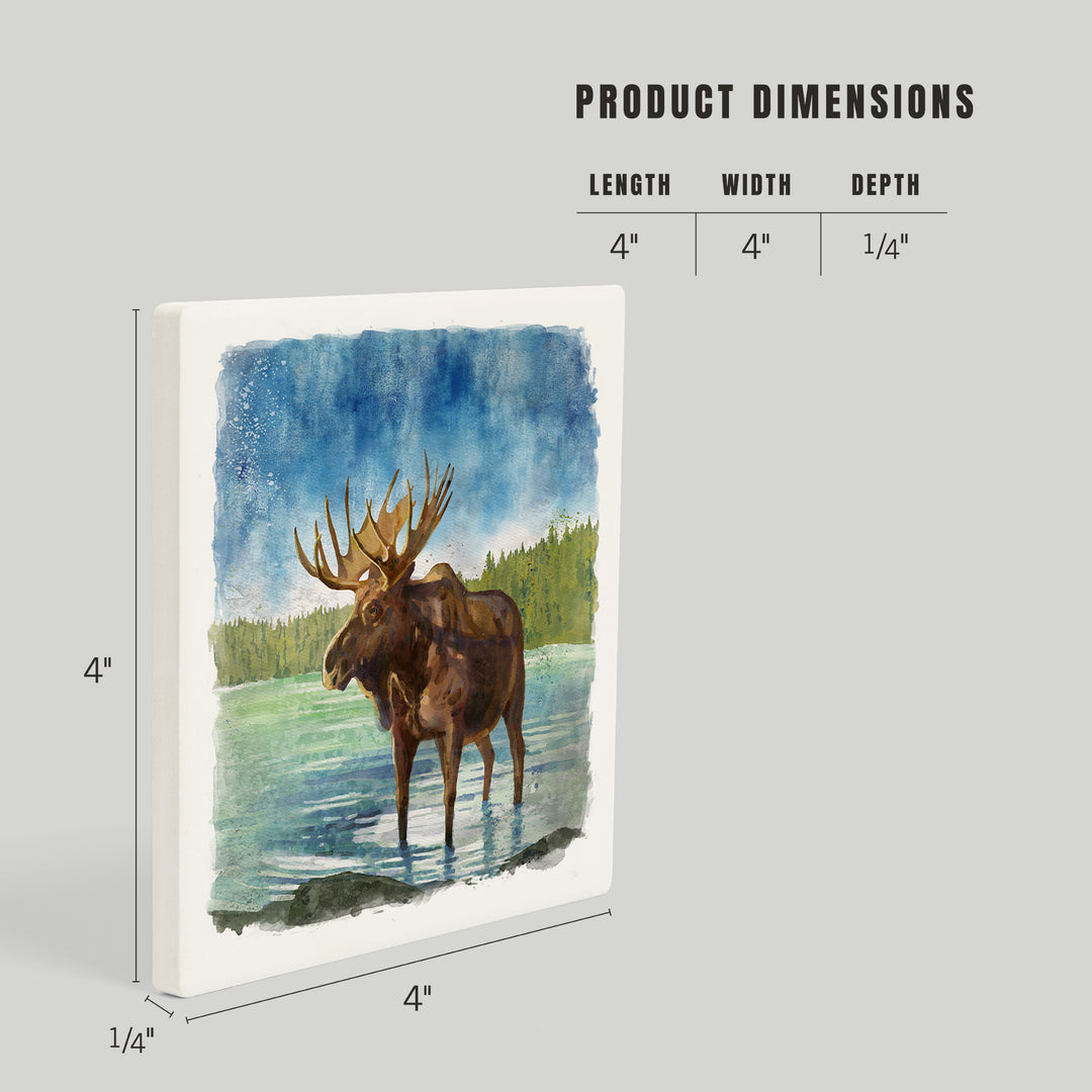 Watercolor Study, Moose, Coasters