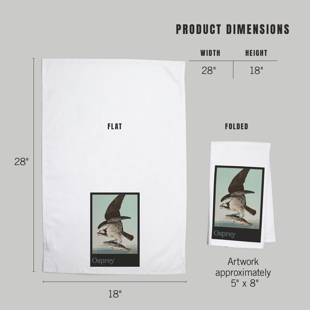 Audubon Birds of North America, Osprey, Organic Cotton Kitchen Tea Towels