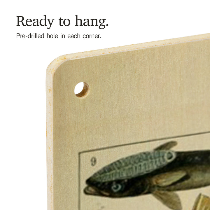 Fish, B, Vintage Bookplate, Adolphe Millot Artwork, Wood Sign and Postcards