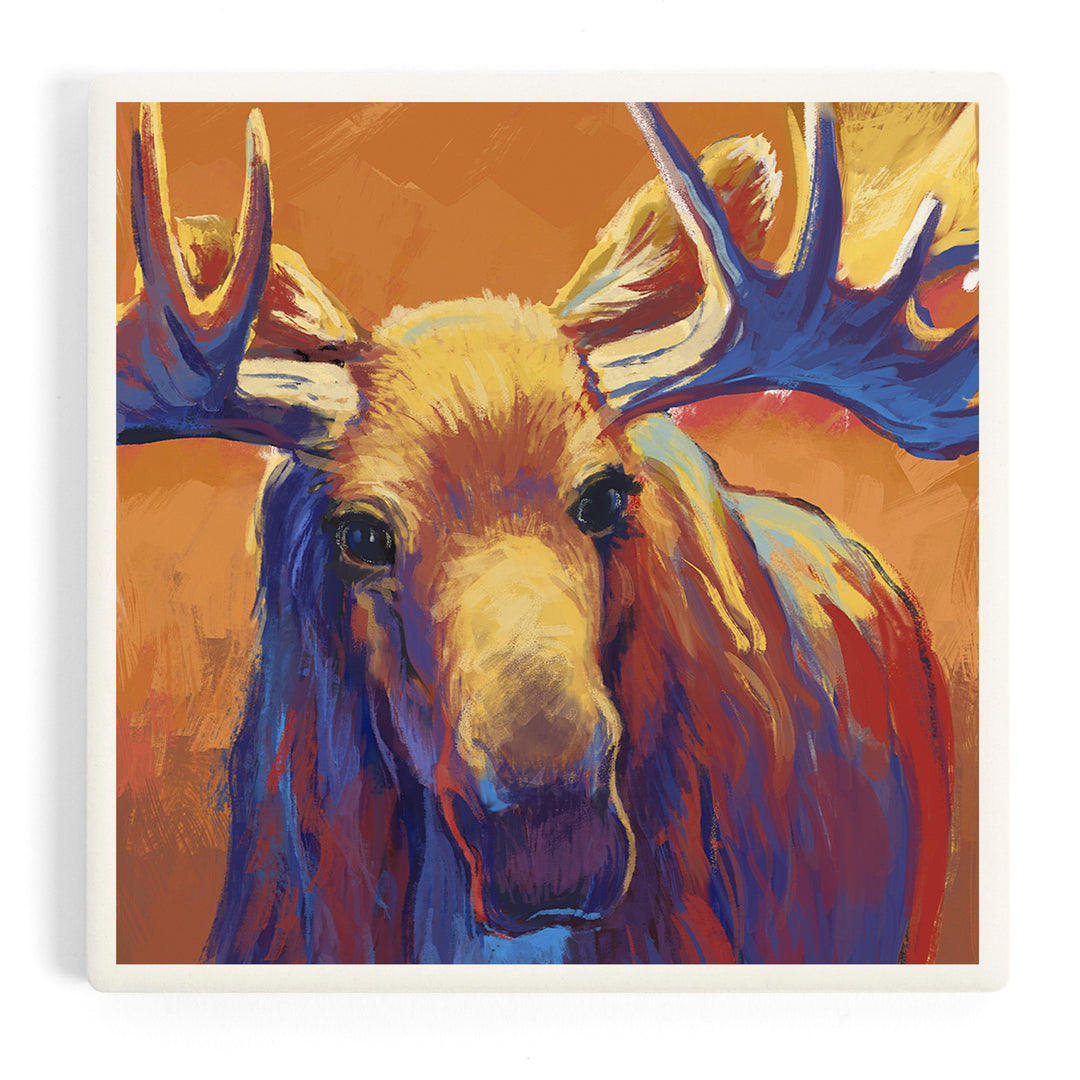 Vivid, Moose, Coasters