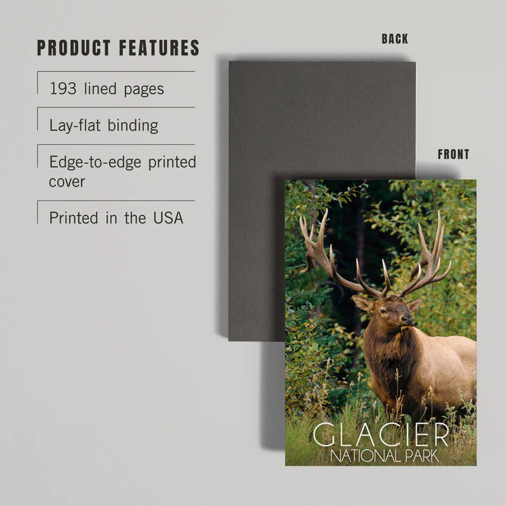 Lined 6x9 Journal, Glacier National Park, Elk Bull, Lay Flat, 193 Pages, FSC paper
