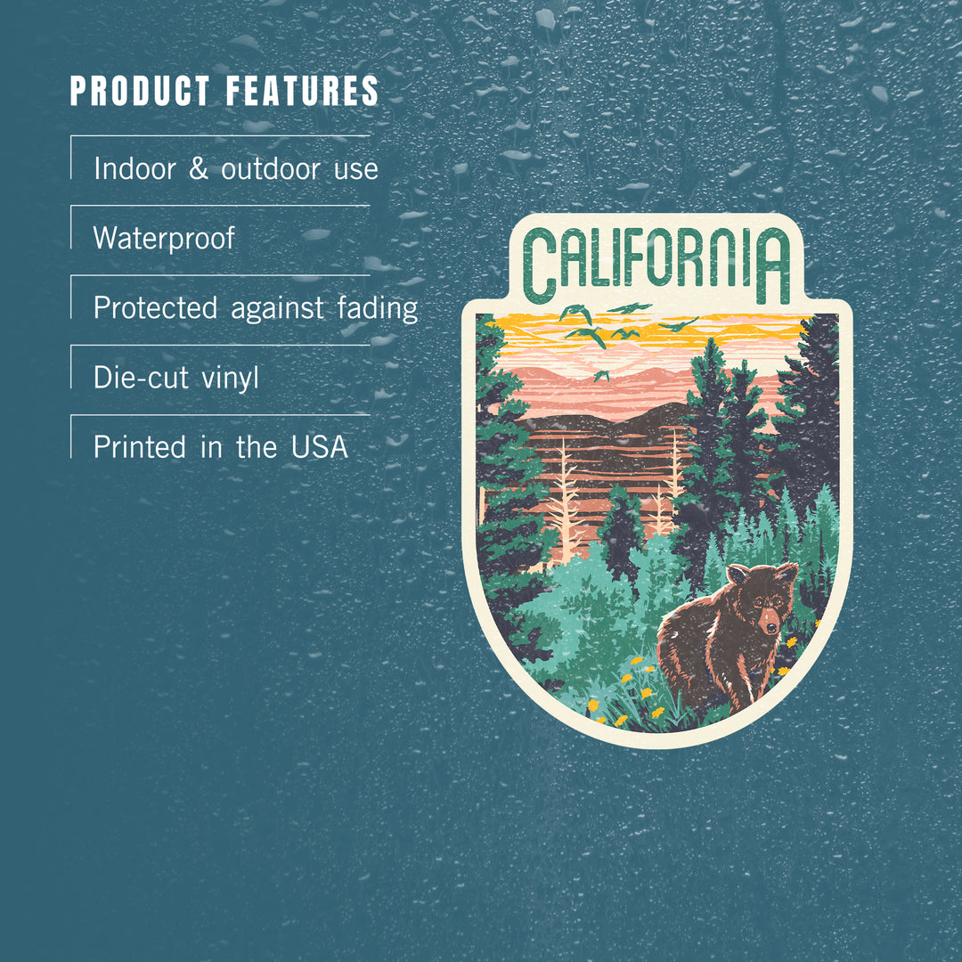 California, Explorer Series, Bear, Contour, Vinyl Sticker - Lantern Press