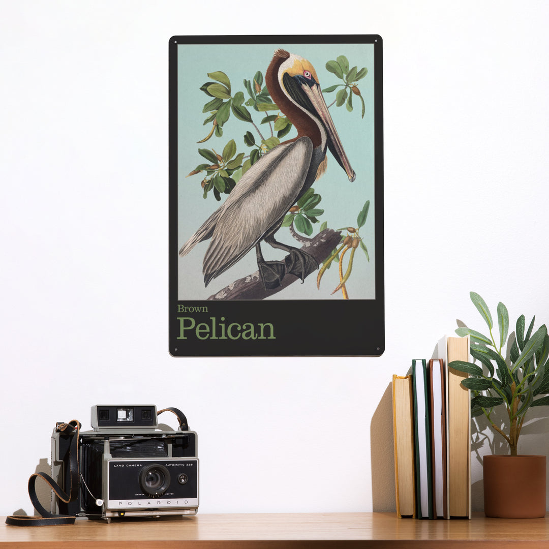 Audubon Birds, North America Brown Pelican, 12x18 Metal Sign