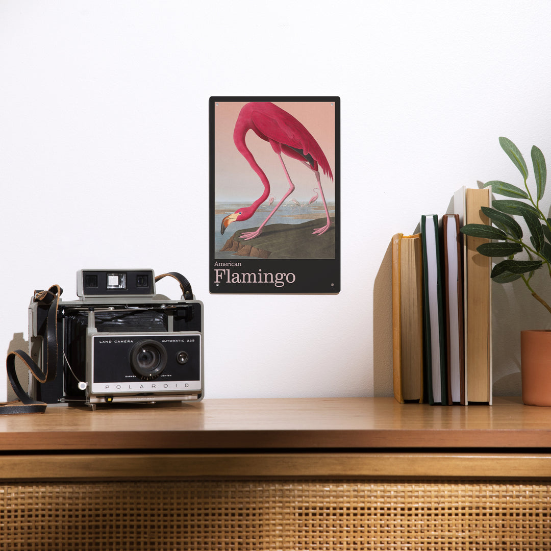 Audubon Birds of North America, Flamingo, 12x18 Metal Sign