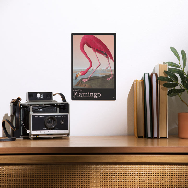 Audubon Birds of North America, Flamingo, 12x18 Metal Sign