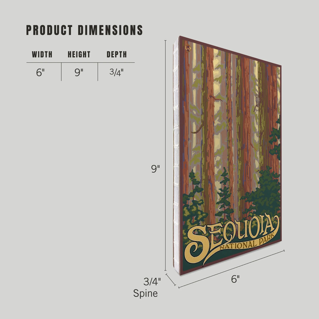 Lined 6x9 Journal, Sequoia National Park, California, Forest View, Lay Flat, 193 Pages, FSC paper