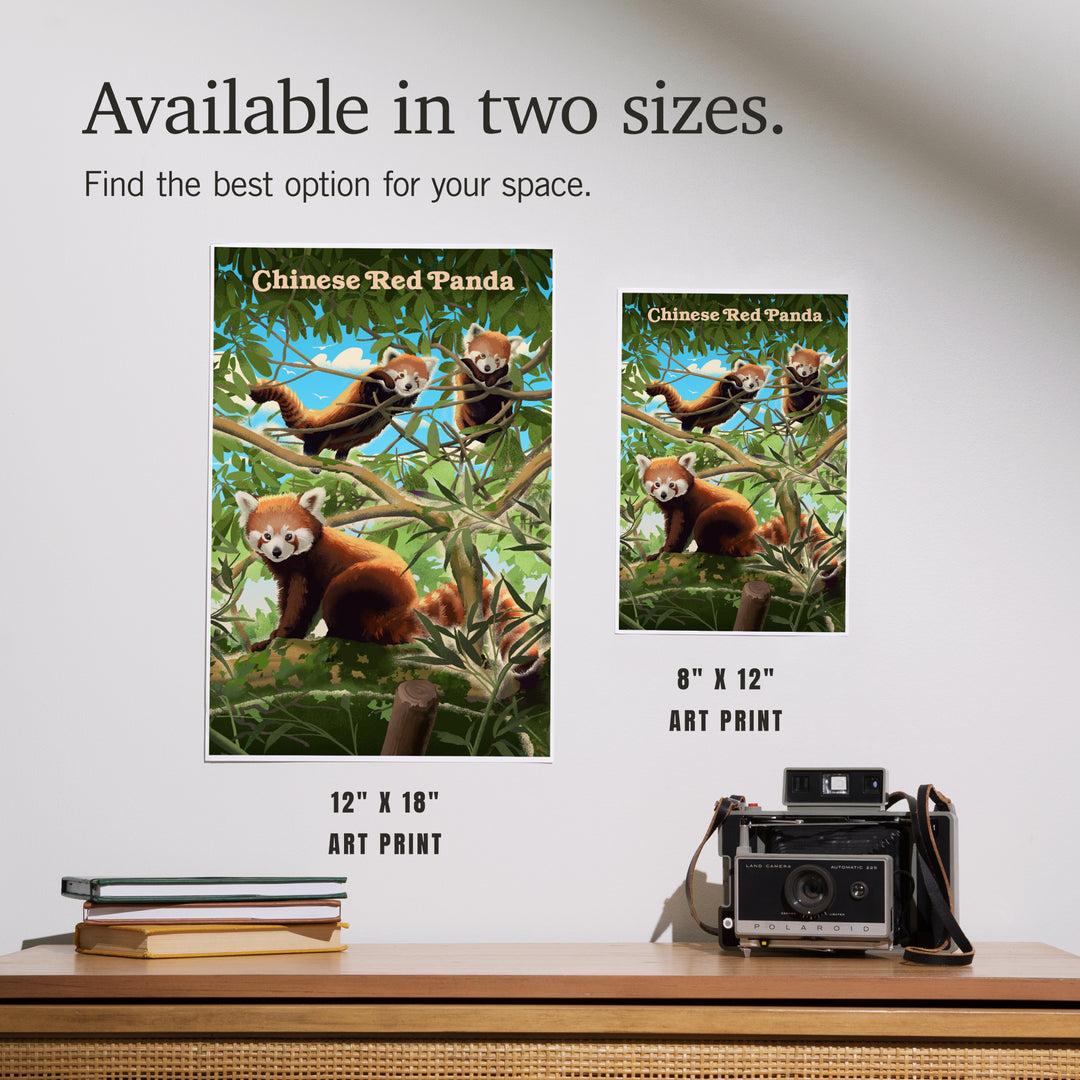 Lithograph Wildlife, Chinese Red Panda, Art & Giclee Prints