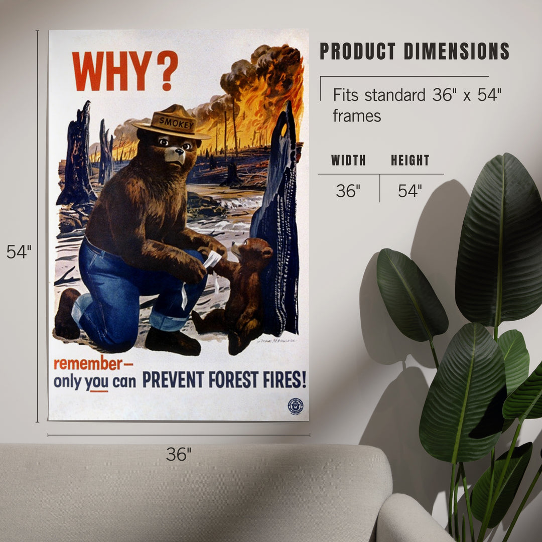 Smokey Bear, Why, Officially Licensed Vintage Poster, Art & Giclee Prints