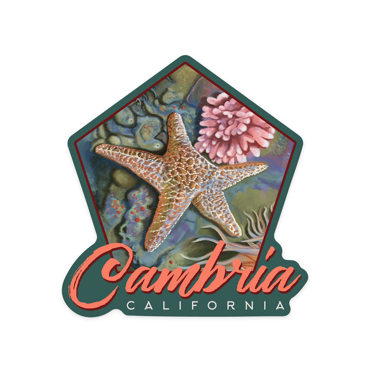 Cambria, California, Tidepool, Contour, Vinyl Sticker