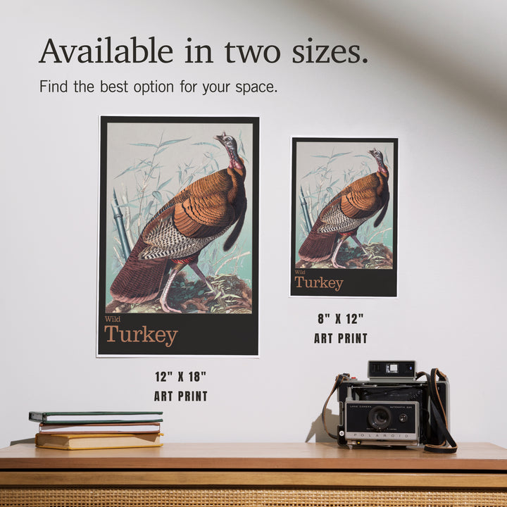 Audubon Birds of North America Wild Turkey, Art & Giclee Prints