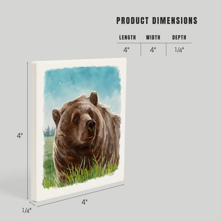 Watercolor Study, Grizzly Bear, Coasters
