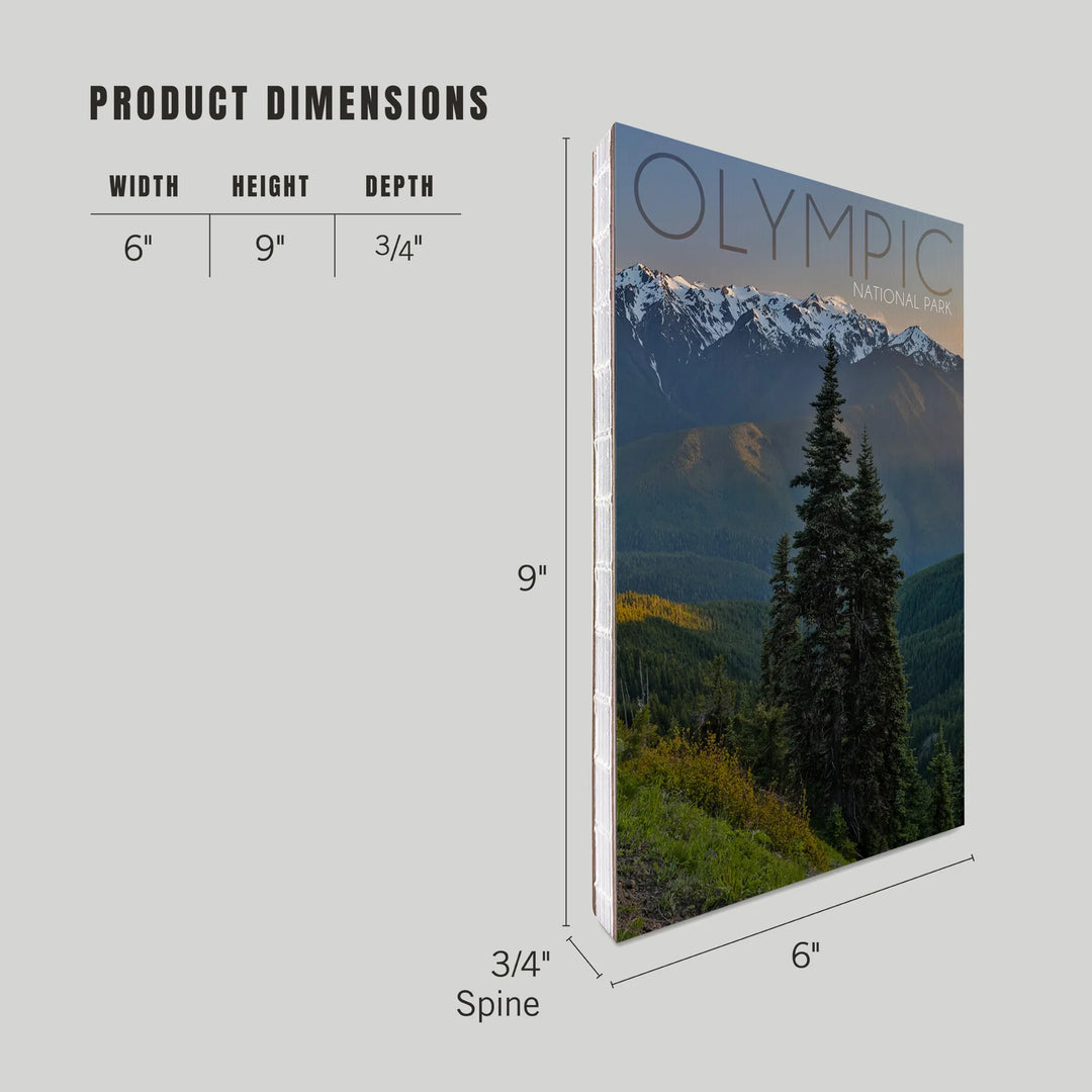 Lined 6x9 Journal, Olympic National Park, Washington, Hurricane Ridge, Lay Flat, 193 Pages, FSC paper