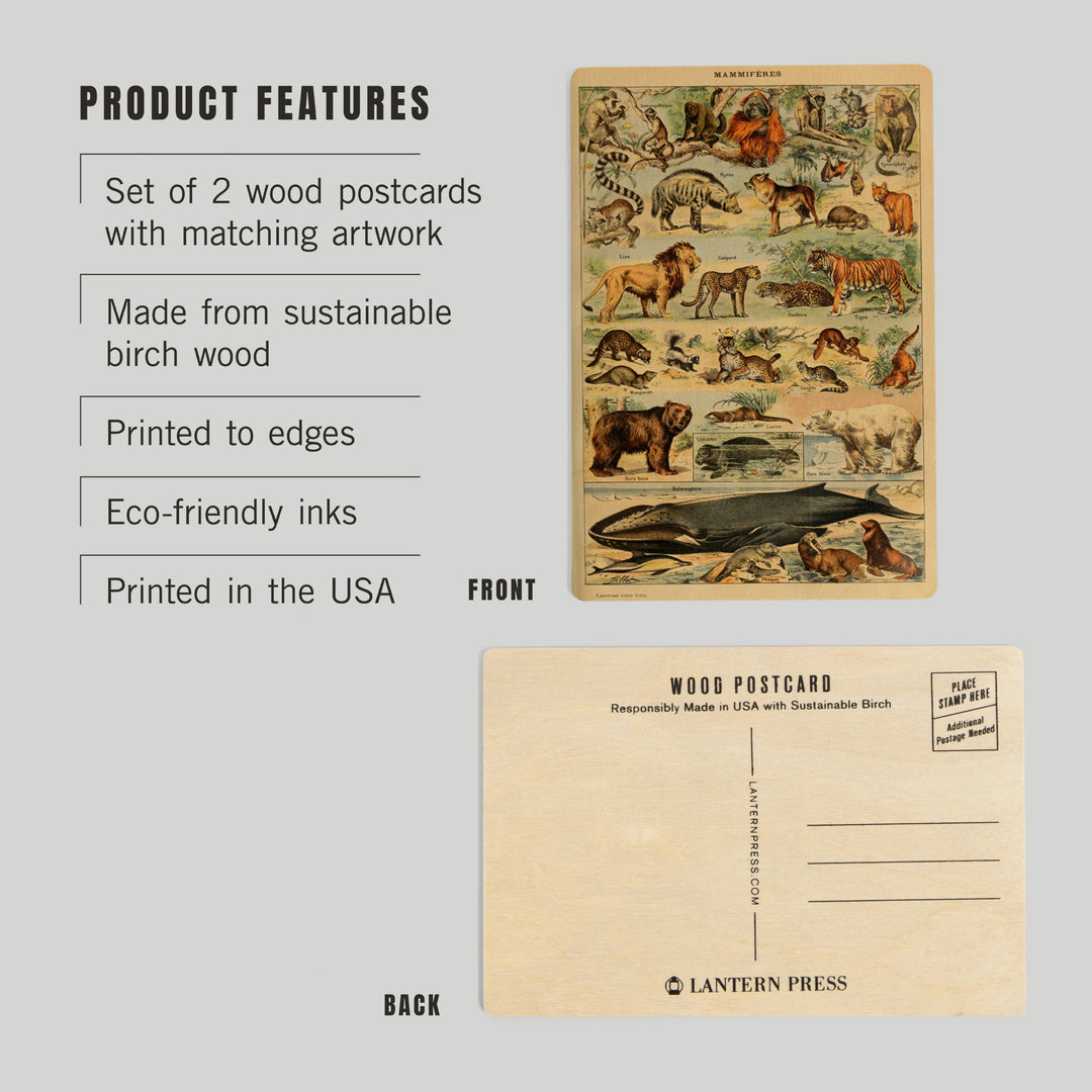 Mammals, D, Vintage Bookplate, Adolphe Millot, Wood Sign and Postcards