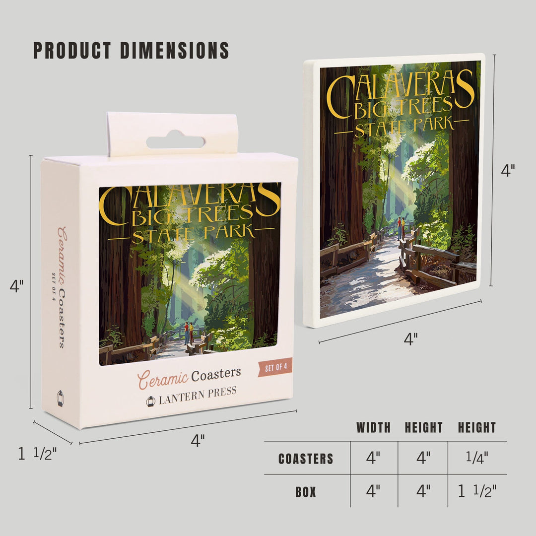 Calaveras Big Trees State Park, California, Pathway in Trees, Coasters Coasters Lantern Press 