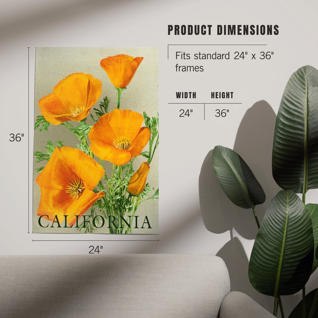 California, Bottom Text, Poppies, Art & Giclee Prints Art Lantern Press 