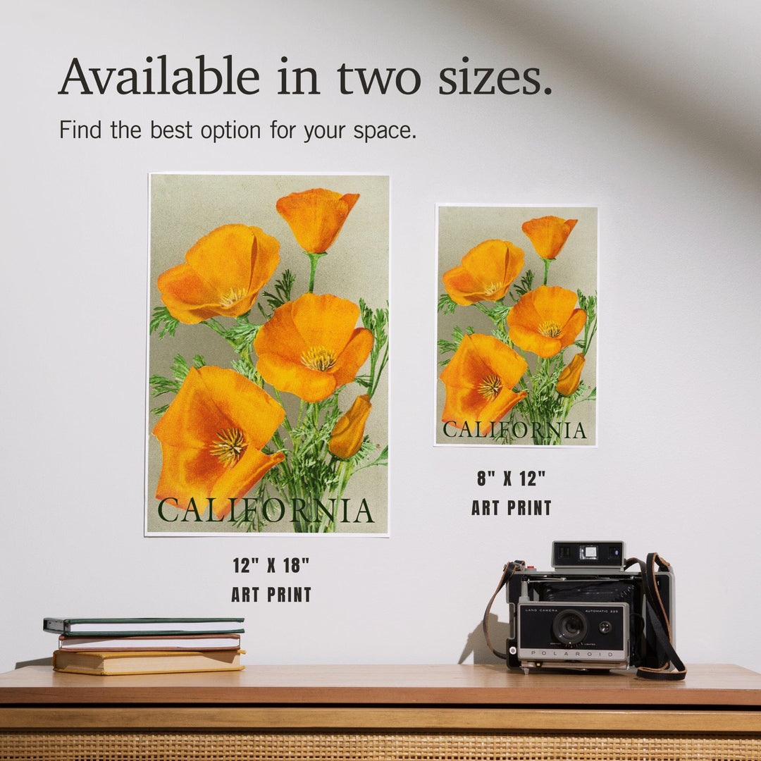 California, Bottom Text, Poppies, Art & Giclee Prints Art Lantern Press 