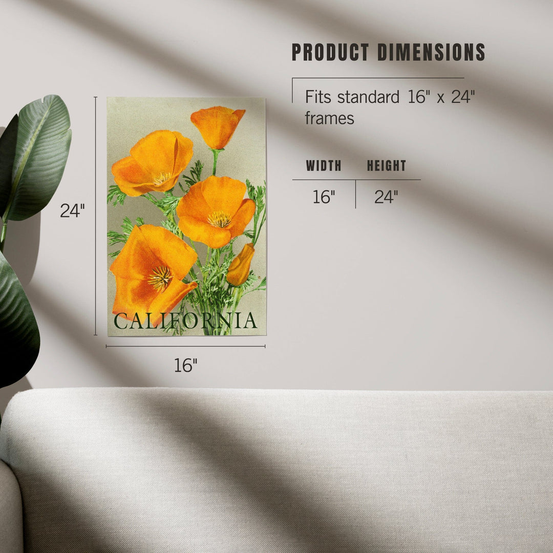 California, Bottom Text, Poppies, Art & Giclee Prints Art Lantern Press 