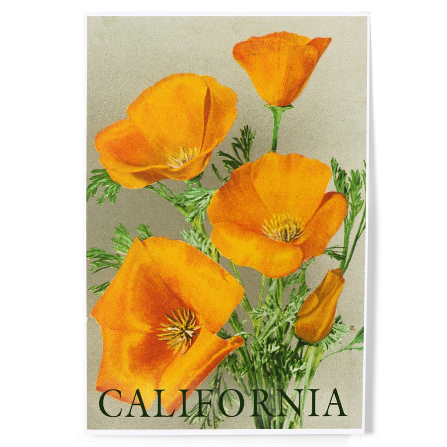California, Bottom Text, Poppies, Art & Giclee Prints Art Lantern Press 