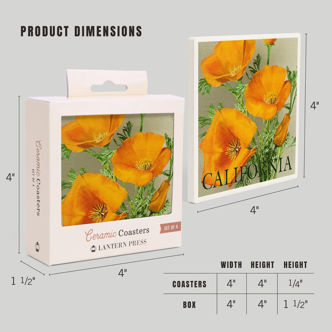 California, Bottom Text, Poppies, Lantern Press Artwork, Coaster Set - Lantern Press